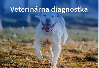 Veterinárna diagnostika